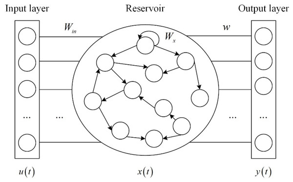 ESN structure.