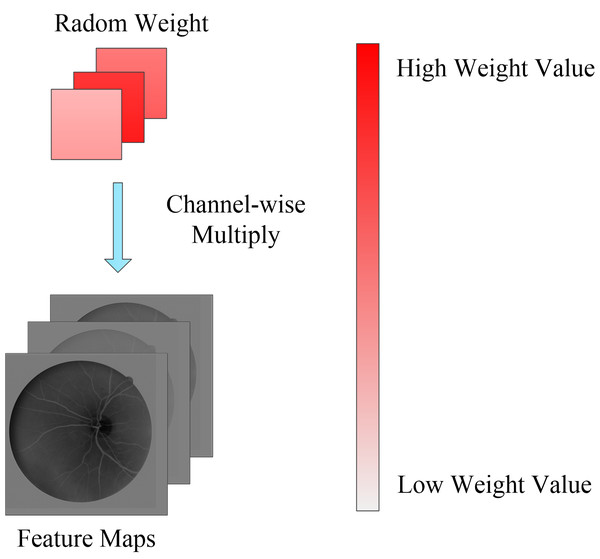 Random channel attention mechanism.