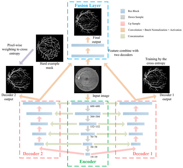 The architecture of the proposed DBFU-Net.