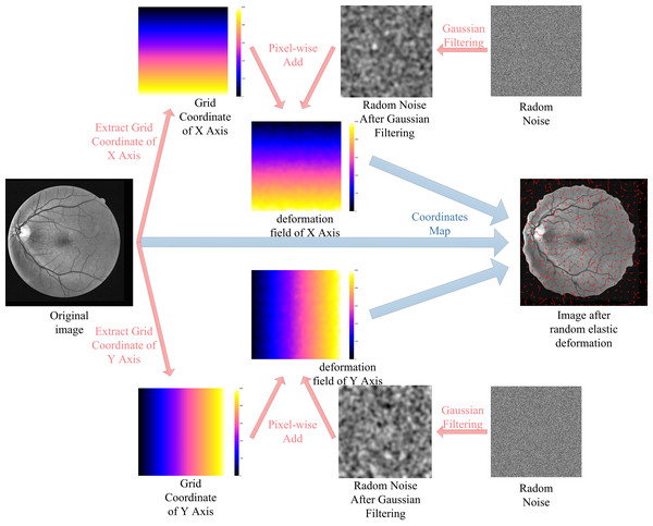 Augmented data by random elastic deformation.