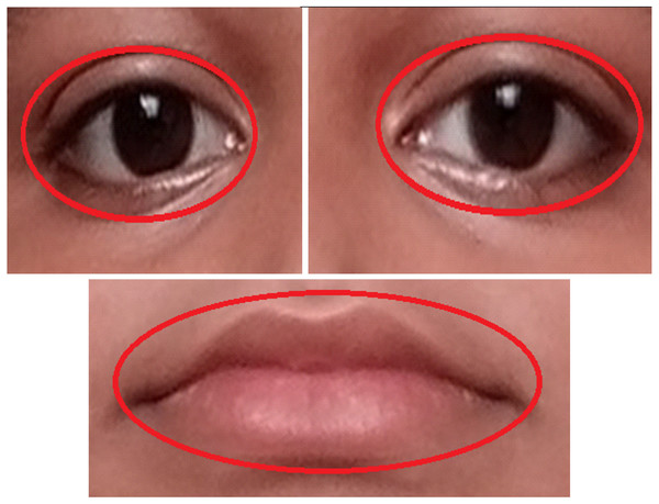 Examples of OAROI (left eye, right eye & lip).
