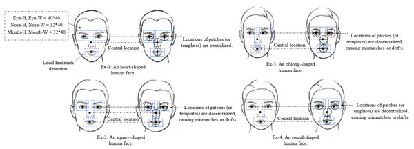 The detection of different facial shapes characteristics.