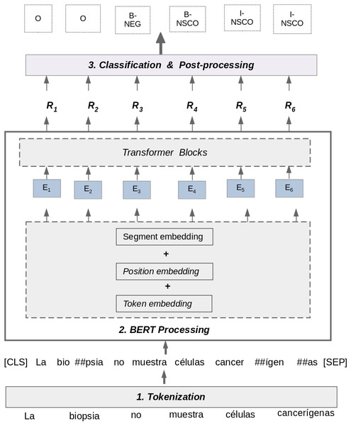 Negation and uncertainty detection using multilingual BERT.