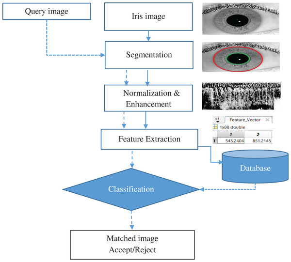 Iris recognition system.