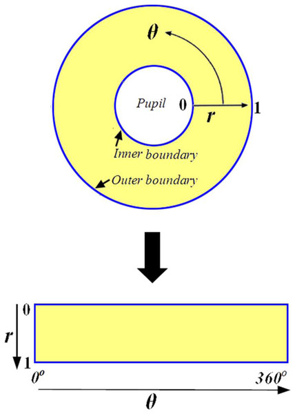 Daugman rubber sheet model.