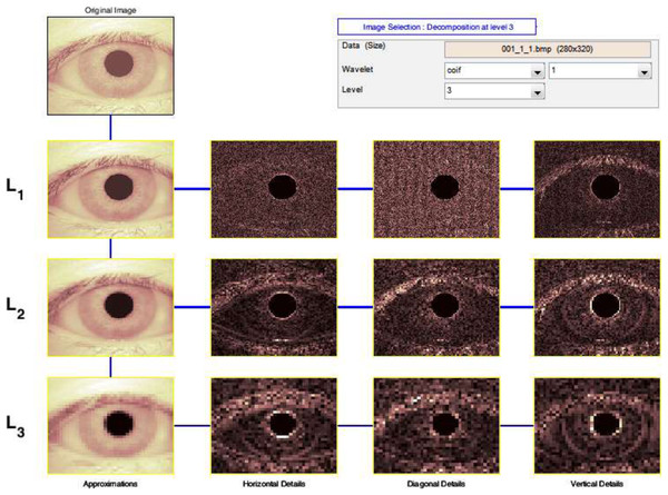 Output of 3-levels tree of wavelet decomposition.