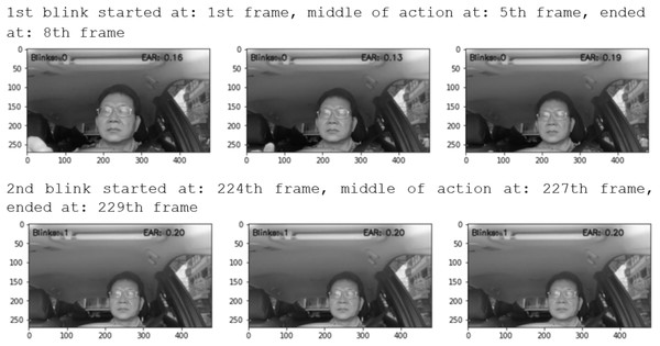 Eye Video S1 dataset result. First blink started at: 1st frame, middle of action at: 5th frame, ended at: 8th frame.