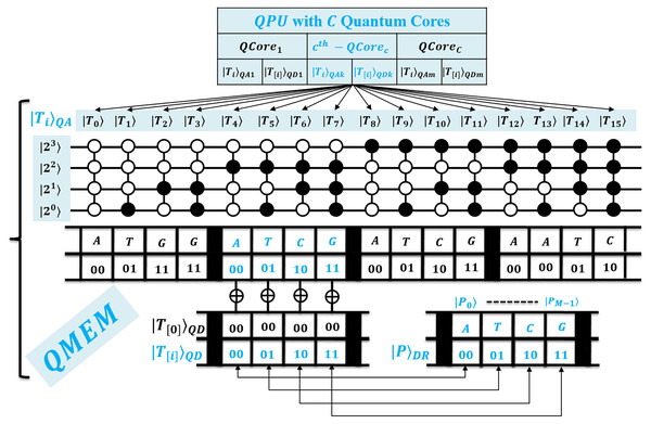 Quantum circuit equivalent to the quantum memory (QMEM) processing.
