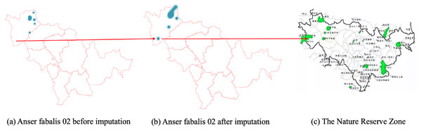 (A–C) Anser fabalis dataset imputation.