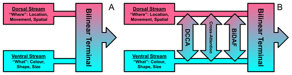 Visualisation of the 1st and 3rd cross-stream scenarios for the two-stream model of vision described by Milner (2017).