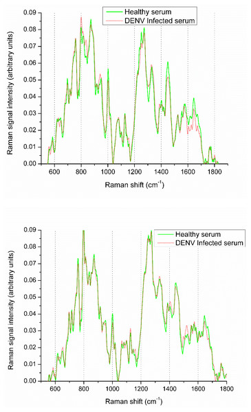 Raman spectra visualization of DENV infected and healthy samples.