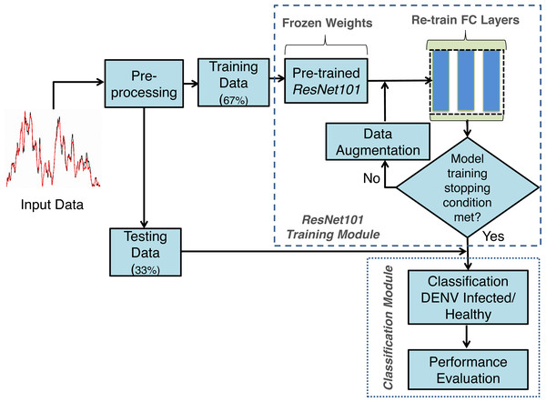 The proposed framework of the DENV-TLDNN.