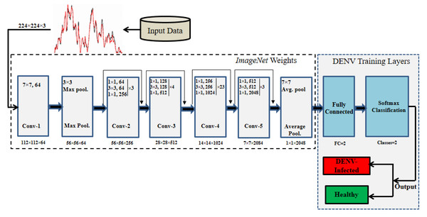 The thematic diagram for ResNet101-TL architecture for DENV identification.