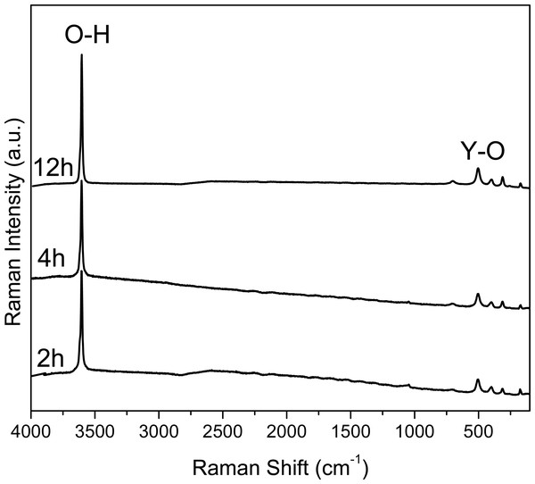 Raman spectra of the samples collected at 2, 4 and 12 hours.