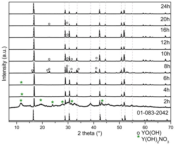 XRD patterns of Y(OH)3 obtained from 2 to 24 h of reaction.