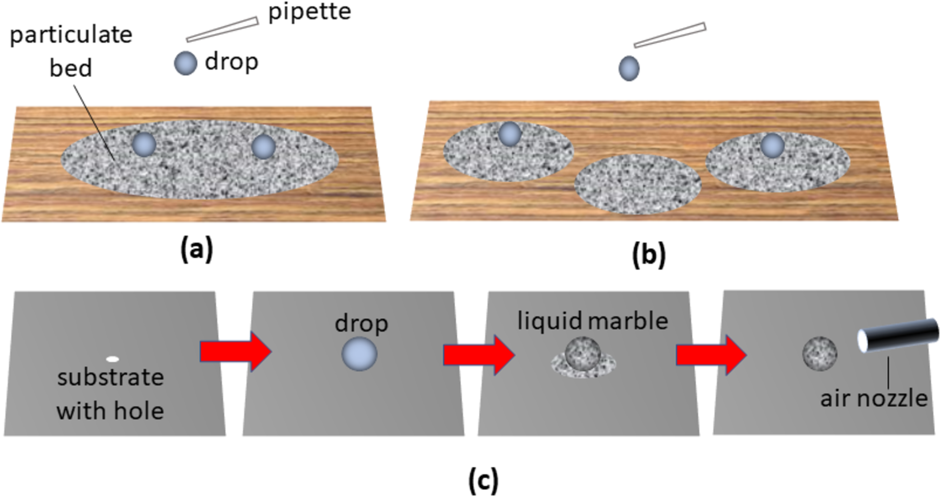 Magnetic liquid marble characteristics: a Magnetic liquid marble on