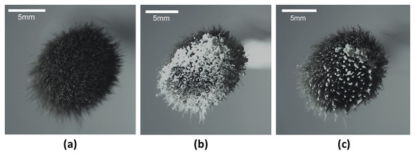 Images of powder distribution on the brush using the technique.