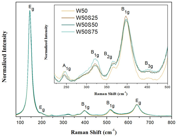 Raman spectra of the synthesized materials: pure TiO2 and composites.