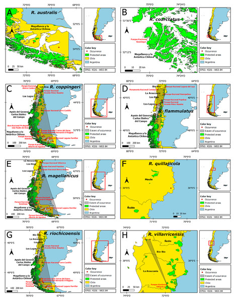 Mapping of occurrences Radiodiscus spp. in Chile, highlighting protected areas.