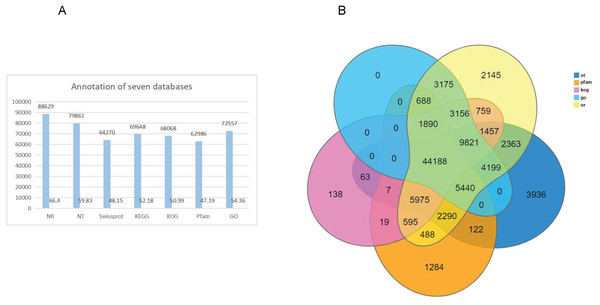 Genes annotation with NT, PFAM, KOG, and NR database and Venn diagram of gene annotation with seven (NR, NT, Swissprot, KEGG, KOG, Pfam and GO) databases.