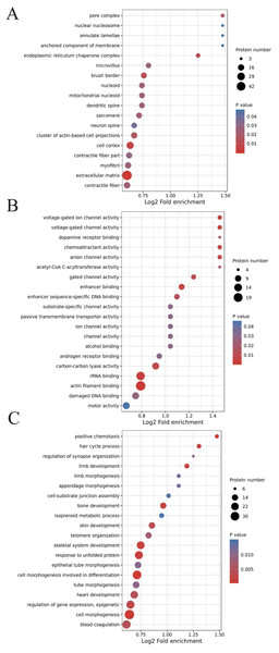 GO analyses of low-expression or over-expression of acetylated proteins in ACBP-Se group compared to control group.