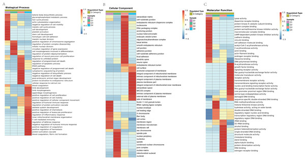 GO analyses Lys acetylation data sets enrichment in ACBP-Se group compare to the control group.