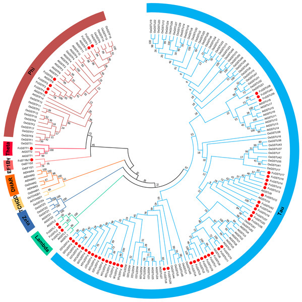 Phylogenetic analysis of GSTs from fig, Arabidopsis, and rice.