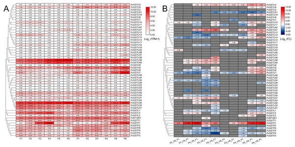 Heatmap of expression profiles for FcGST genes in the female flower and peel of fig fruit.