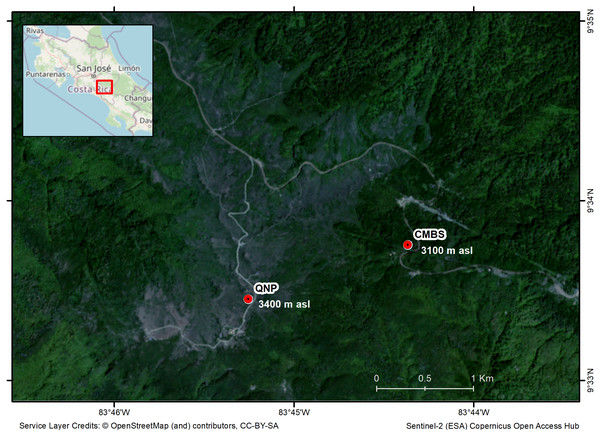 Map of the region of the Costa Rican Talamanca mountain region, showing the study sites and the elevation above sea level (asl): the Cerro de la Muerte Biological Station (CMBS) and the Quetzales National Park (QNP).