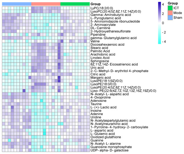 Heat map of metabolites in the cerebral ischemic reperfusion injury of rats from Sham, Model and ICT groups.