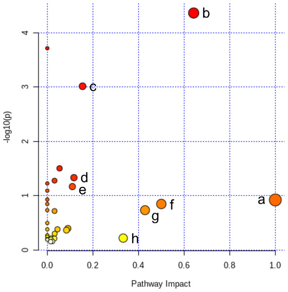 Pathway analysis of the differential metabolites reversed by ICT.