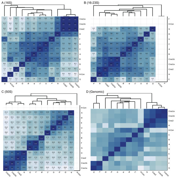 Heatmaps of CLso haplotype similarity in different genomic regions.