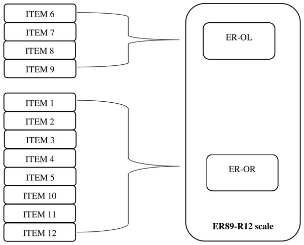 Diagrammatical representation of the structural model of the ER89-R12 Scale.