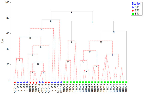 LINKTREE binary divisive clustering analysis of the phytoplankton community at 37 sites.