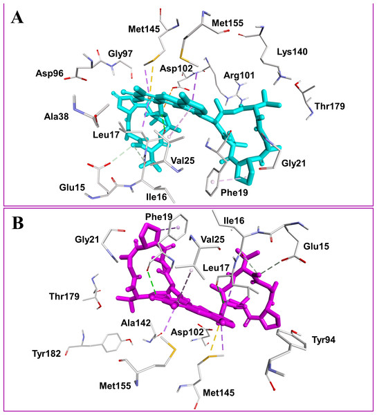 Docked compounds act-X2, shown as sticks in cyan color (A); and act-D, shown as sticks in magenta color (B) in the binding pocket of mycobacterial protein kinase PknB.