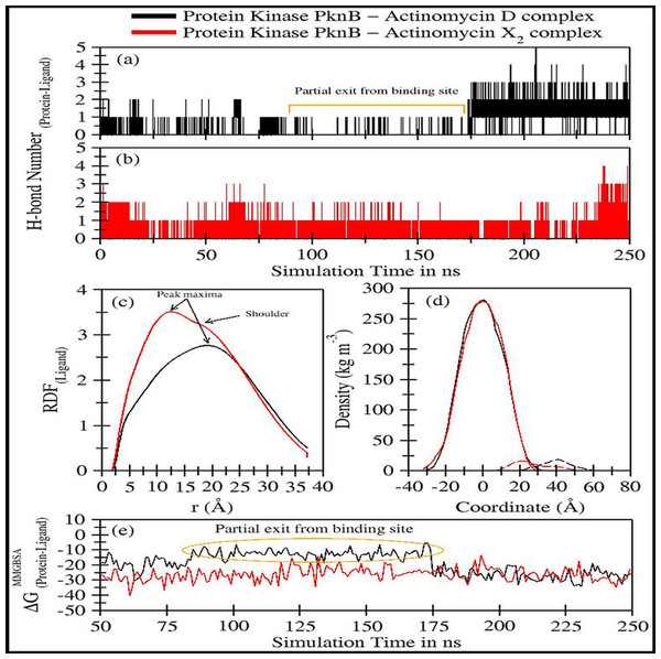 Trajectory analyses for protein kinase (PknB) complexed with act-D (black lines) and act-X2 (red lines): (A–B) Number of hydrogen-bonds formed between the protein and the act-D and act-X2, (C) Radial distribution functions of act-D and act-X2 around PknB, (D) partial density of proteins (solid lines) and ligands (dashed lines), and (E) Molecular Mechanics/Generalized-Born Surface Area protein-ligand binding energy calculated over an interval of 1 ns.