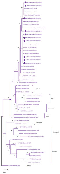 Genotyping of DENV-1 serotype isolates using CprM gene sequences (n = 10) from E-UP.