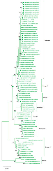 Genotyping of DENV-2 serotype isolates using CprM gene sequences (n = 27) from E-UP.