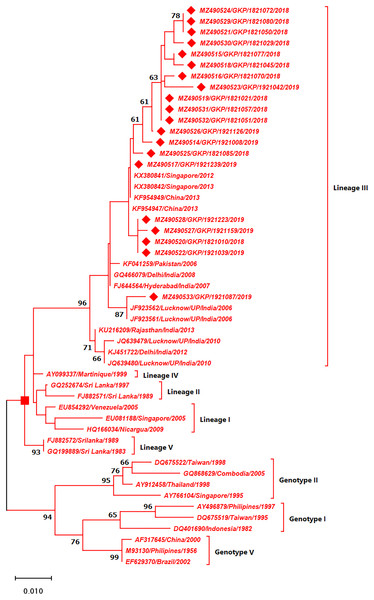 Genotyping of DENV-3 serotype isolates using CprM gene sequences (n = 20) from E-UP.