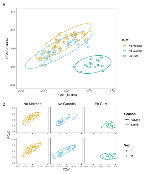 PCoA based on Bray-Curtis distances of the P. lilfordi gut microbiota depicting diversity (A) among populations (“islets”) and (B) within populations, according to “season” and “sex”.