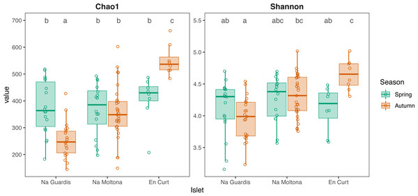 Alpha diversity of gut microbiota by islet according to Chao1 and Shannon, estimated on seasonal datasets.