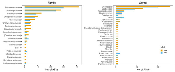 Family and genus-level taxonomic profile of persistent ASVs retrieved along the four sampling dates.