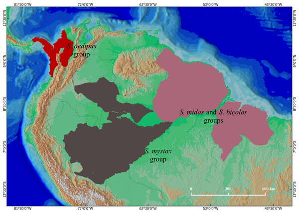 The geographical distributions of Saguinus: the mystax group (brown), the oedipus group (red), and the bicolor and midas groups (purple).