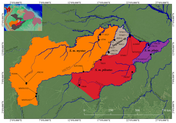 Geographic distribution of S. mystax subspecies and Saguinus sp.