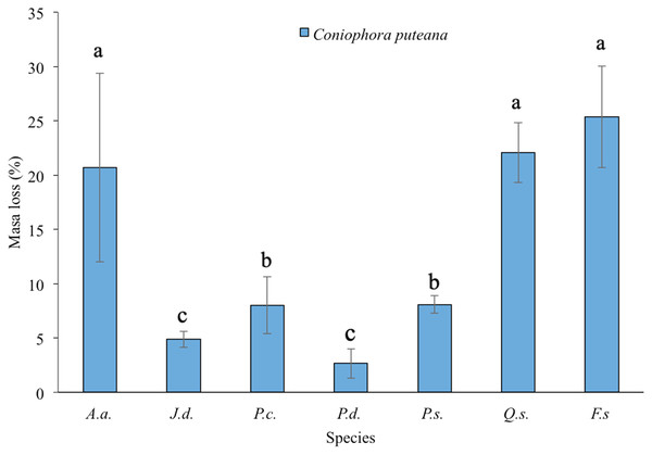 Mean ± SD of mass loss (%) of seven tree species exposed to Coniophora puteana in in southern Durango, Mexico.