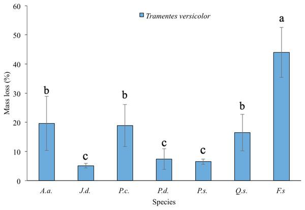 Mean ± SD of mass loss (%) of seven tree species exposed to Trametes versicolor in southern Durango, Mexico.