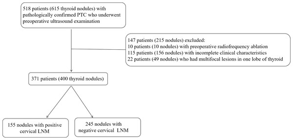 The flowchart of nodules’ inclusion and exclusion for this retrospective study.