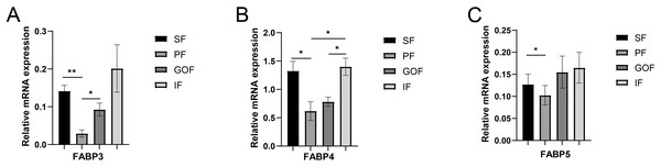 Validation of mRNA levels of fatty acid transportation genes.