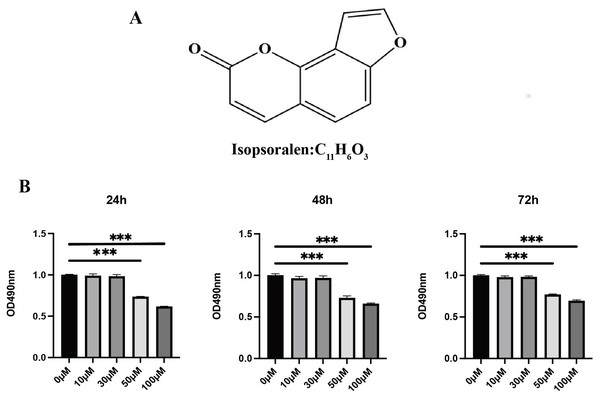 Effects of isopsoralen on the proliferation of BMMCs.