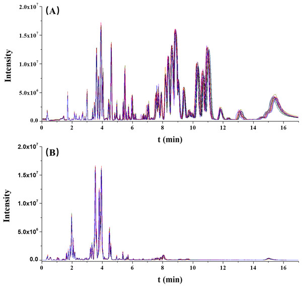 The overlaps of base peak intensity (BPI) chromatograms from the 17 quality control (QC) injections in (A) positive electrospray ionization (ESI) and (B) negative ESI modes, respectively.
